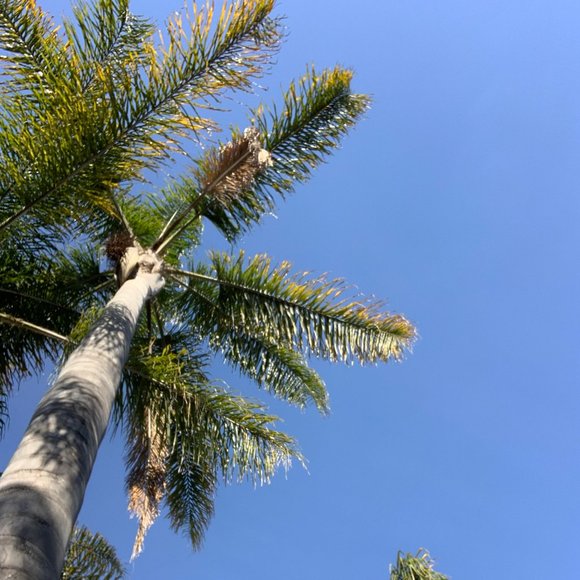 Meet your Posher, Rachel - Picture 1 of 1